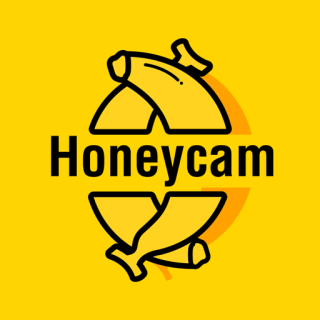 Honeycam 4.0 Crack